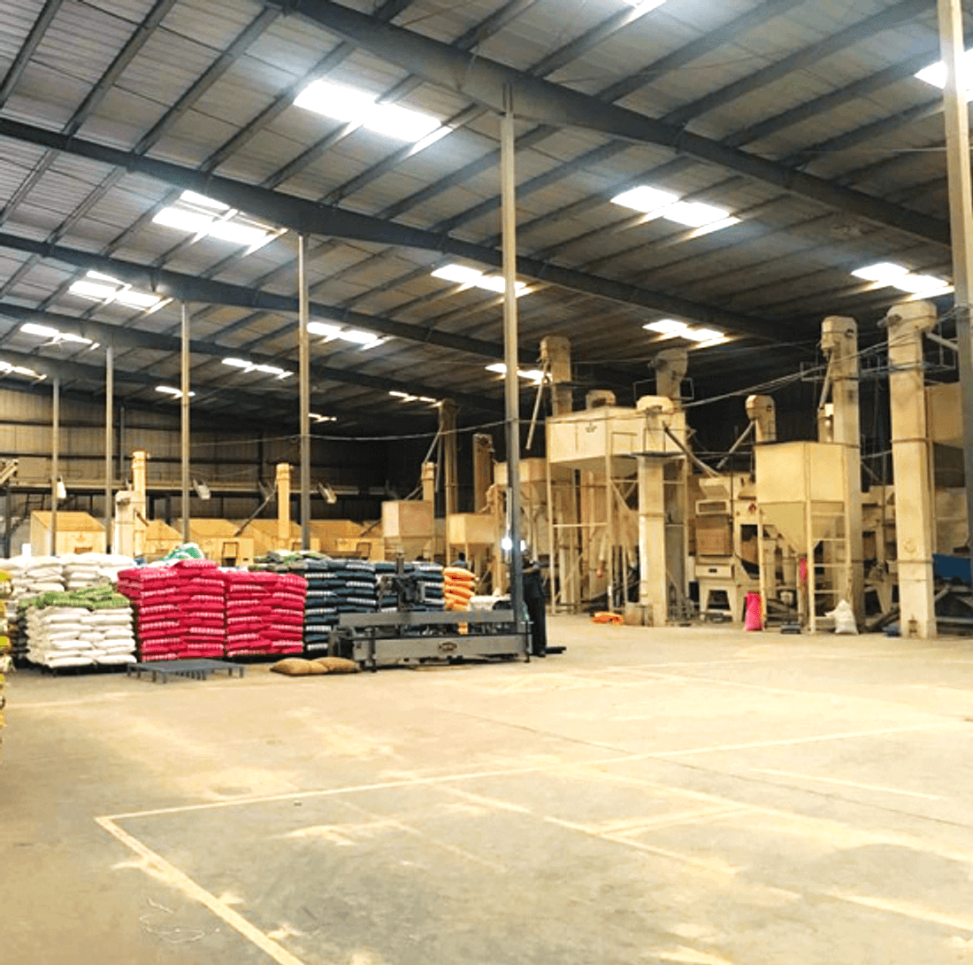 Inside a Venagro popcorn processing facility